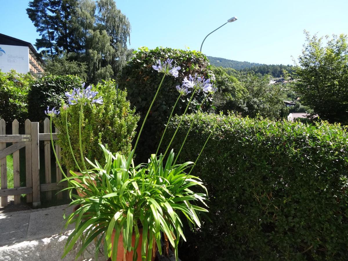 Haus Seidl Apartment Bodenmais Exterior photo